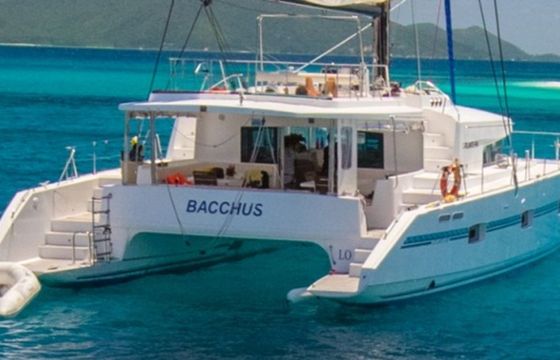 Catlante 600 Bacchus