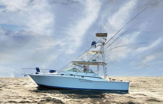 Cabo 35 Exodus