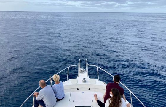 Cata 356 Sportfisherman Fish on