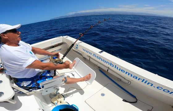 Cata 356 Sportfisherman Fish on