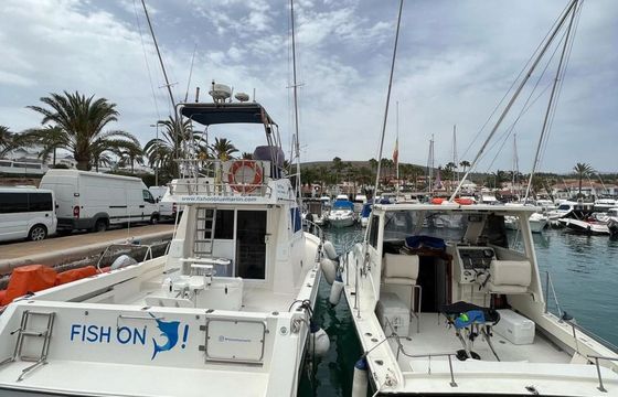 Cata 356 Sportfisherman Fish on