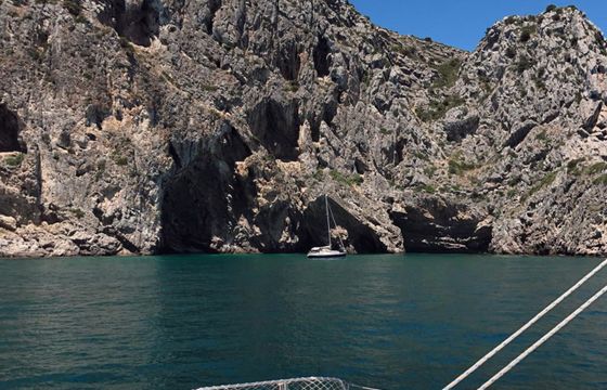 Catana 50 Seabar