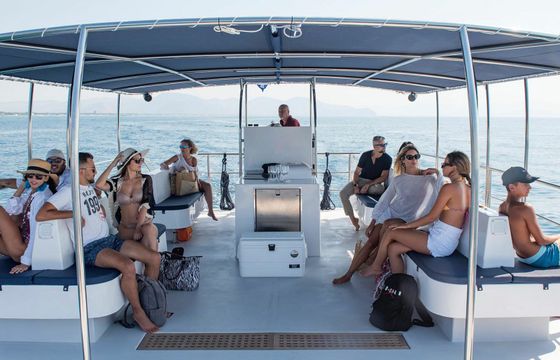 Catmarine 39 Euphoria