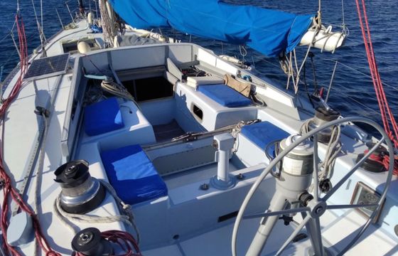 Champer and Nicholsons S S One off Morning Cloud