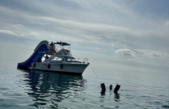 Chris Craft Commander 31 Santa Lucia