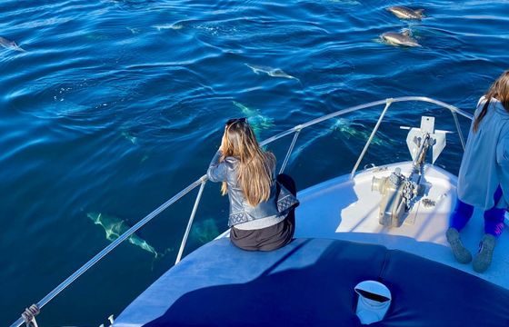 Chris Craft Commander 31 Santa Lucia