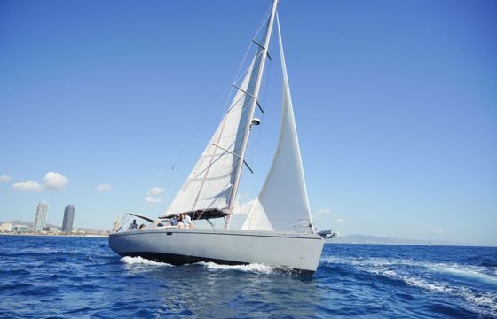 Comet 52 Sphynx