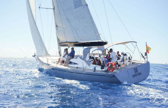 Comet 52 Sphynx