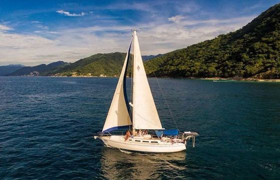 Catalina 36 Maxine 2