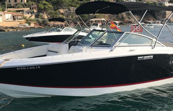Cobalt A25 Jade