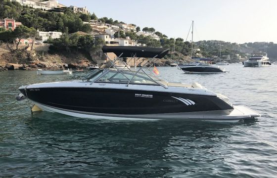 Cobalt A25 Jade