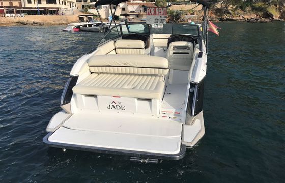 Cobalt A25 Jade