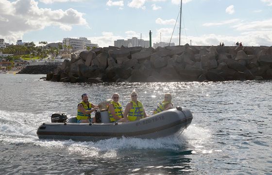 Conarg 480 Siete