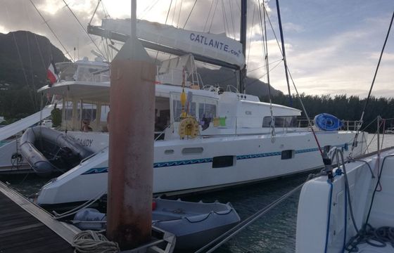 Catlante 720 Eye Candy