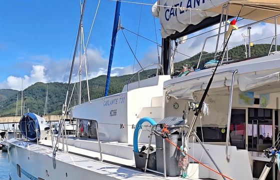 Catlante 720 Eye Candy