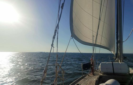 Conrad 46 Albena