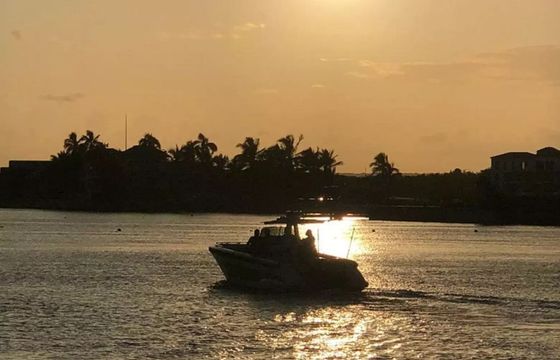 Cerri Tender 36 Baychimo