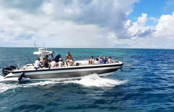 Cerri Tender 36 Baychimo