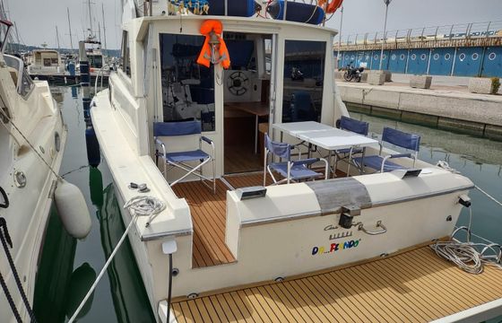 Chris Craft 33 Sport Fly Da...Flando