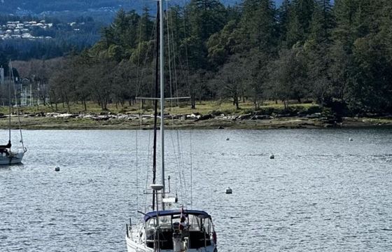 Catalina 42 Venture