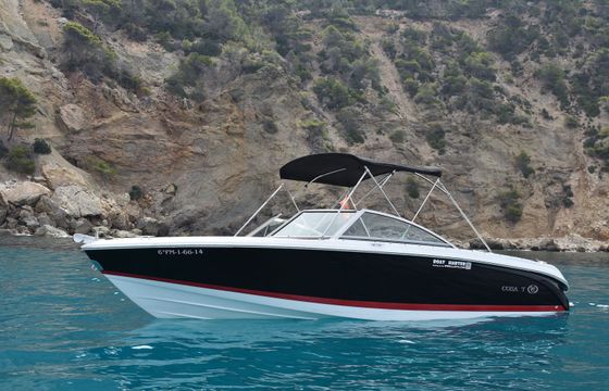 Cobalt 220 Watermelon