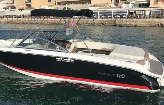 Cobalt 220 Watermelon