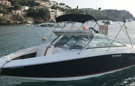 Cobalt 222 Princesa