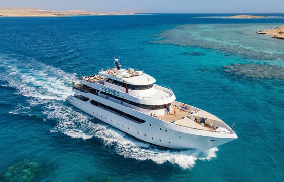 Custom Built 118 Hermes