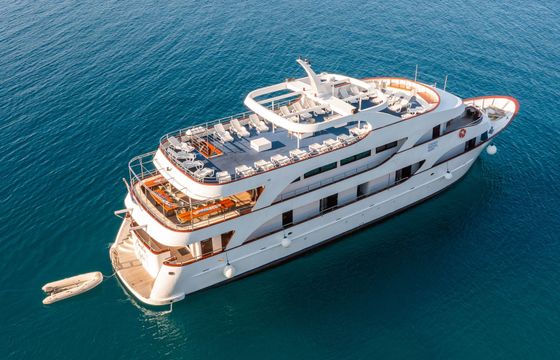 Custom Built 122 Amalia
