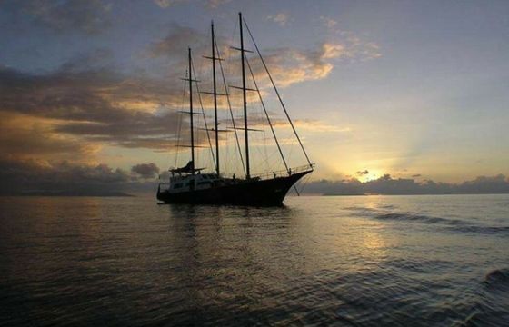 Custom Built 131 Sea Star