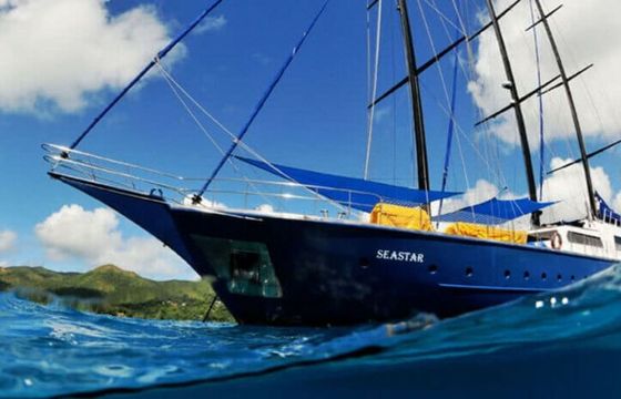 Custom Built 131 Sea Star