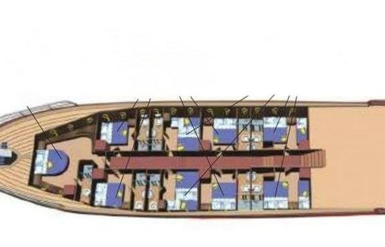 Custom Built 131 Sea Star