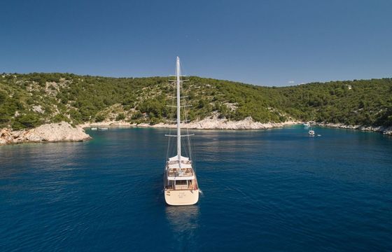 Custom Built 135 MarAllure