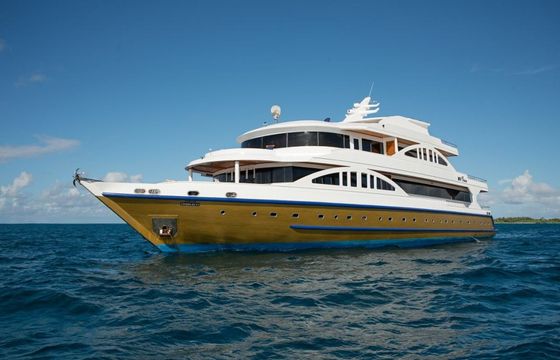 Custom Built 133 Maldives Legend Zen