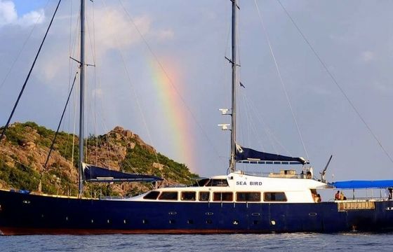 Custom Built 138 Sea Bird