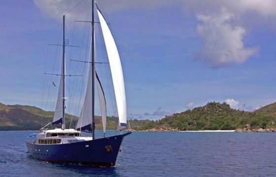 Custom Built 138 Sea Bird