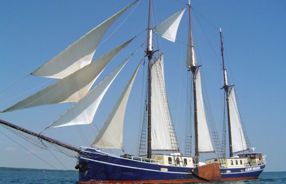 Custom Built 151 Albert Johannes