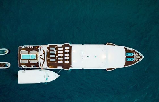 Custom Built 183 White Pearl