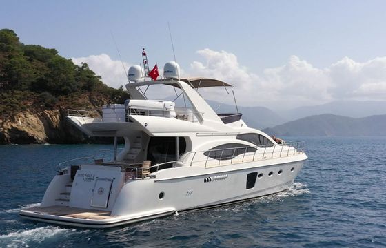 Custom Built 22 Bormus 1