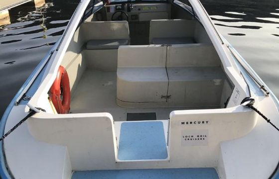 Custom Built 22 Mercury