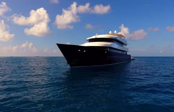Custom Built 124 Azalea