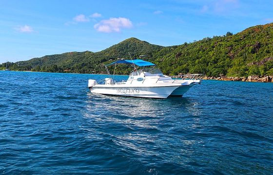 Custom Built 28 Delfino