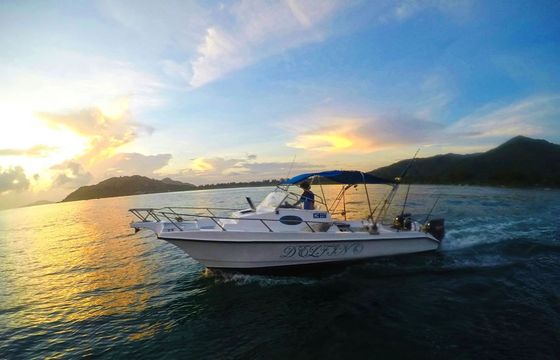 Custom Built 28 Delfino