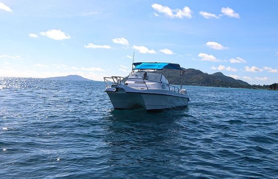 Custom Built 28 Delfino