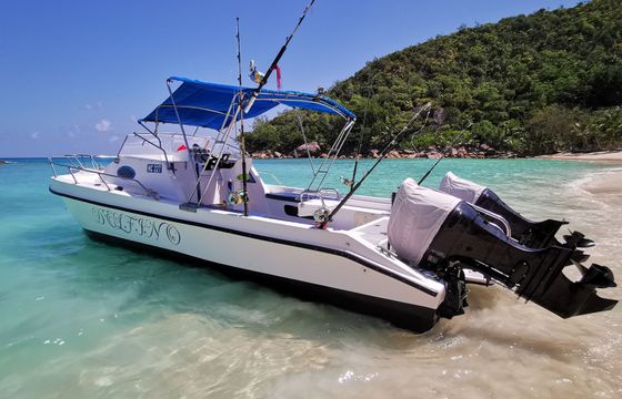 Custom Built 28 Delfino
