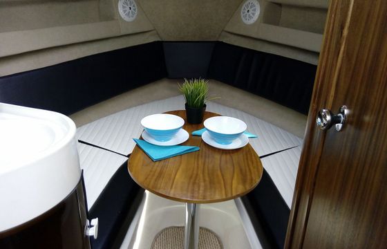 Coral 690 Sport Cruiser Sun Sail 3