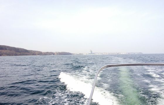 Coral 690 Sport Cruiser Sun Sail 3