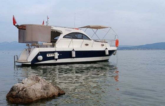 Custom Built 31 Tarkan
