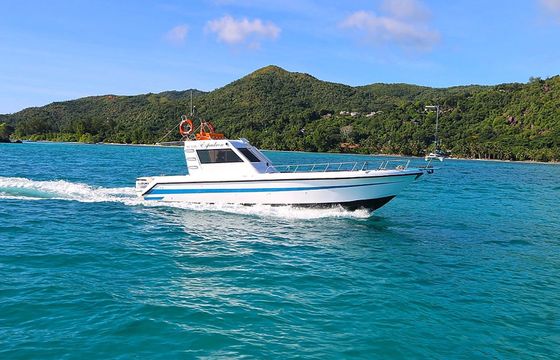 Custom Built 33 Espadron