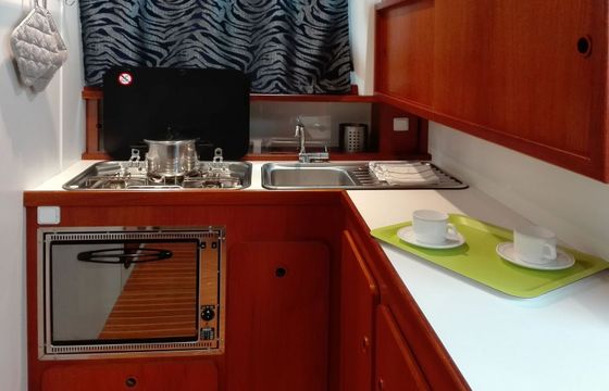 Custom Built 34 Tip Top Due